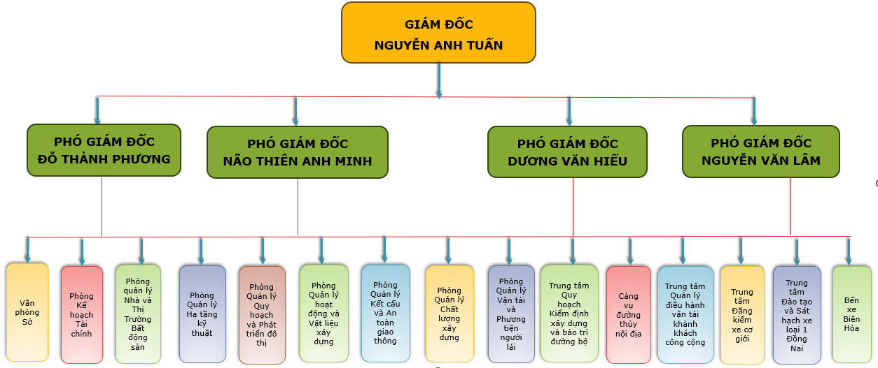 cơ cau 08-7.png