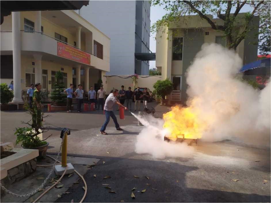 dap lua.jpg