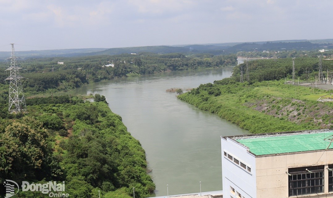 h1.Hạ lưu Thủy điện Trị An (ảnh minh họa).jpg